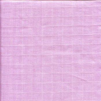 Nuscheli  Schildchröttli Junge