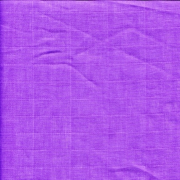 Nuscheli  Schildchröttli Junge