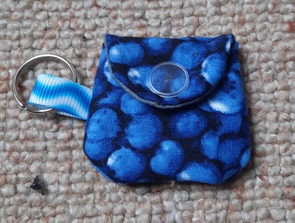Chiptäschli Blaubeeren
