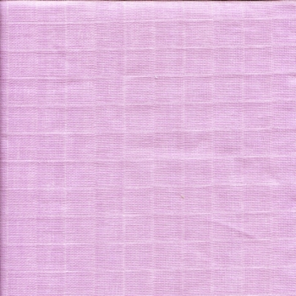 Nuscheli  Schildchröttli Junge